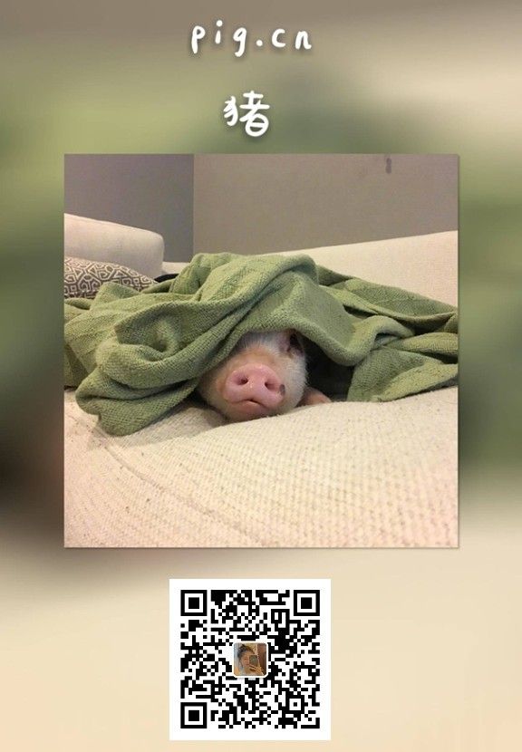 应用赏析 应用赏析